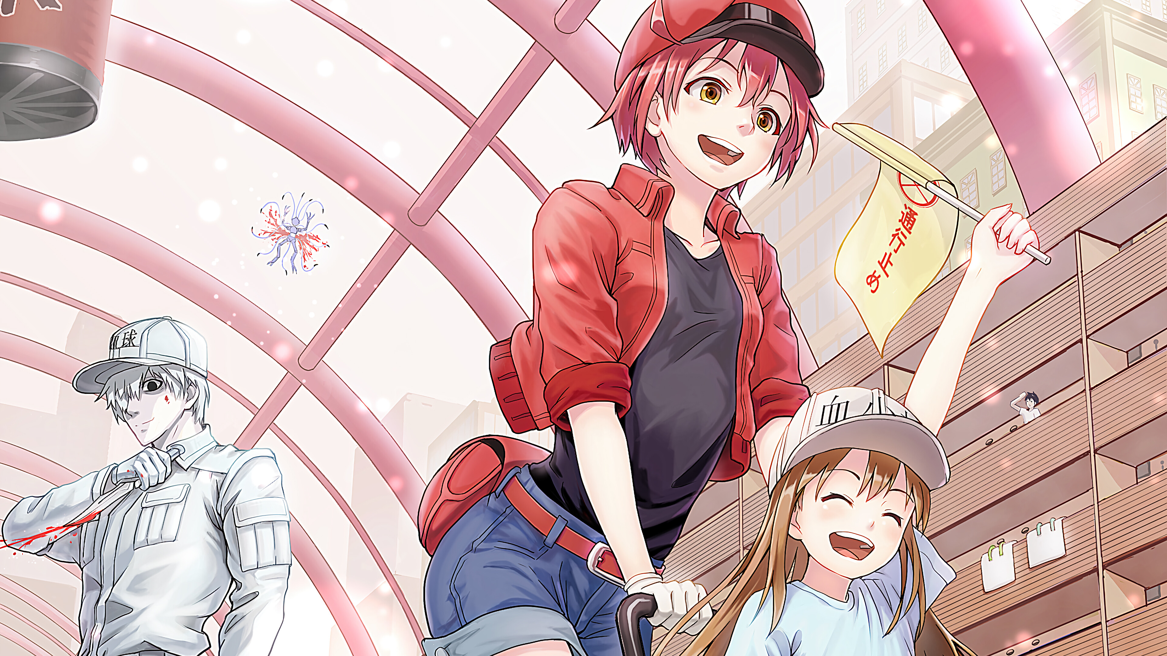 Cells At Work Red Blood Cell Platelet HD 4k Wallpaper