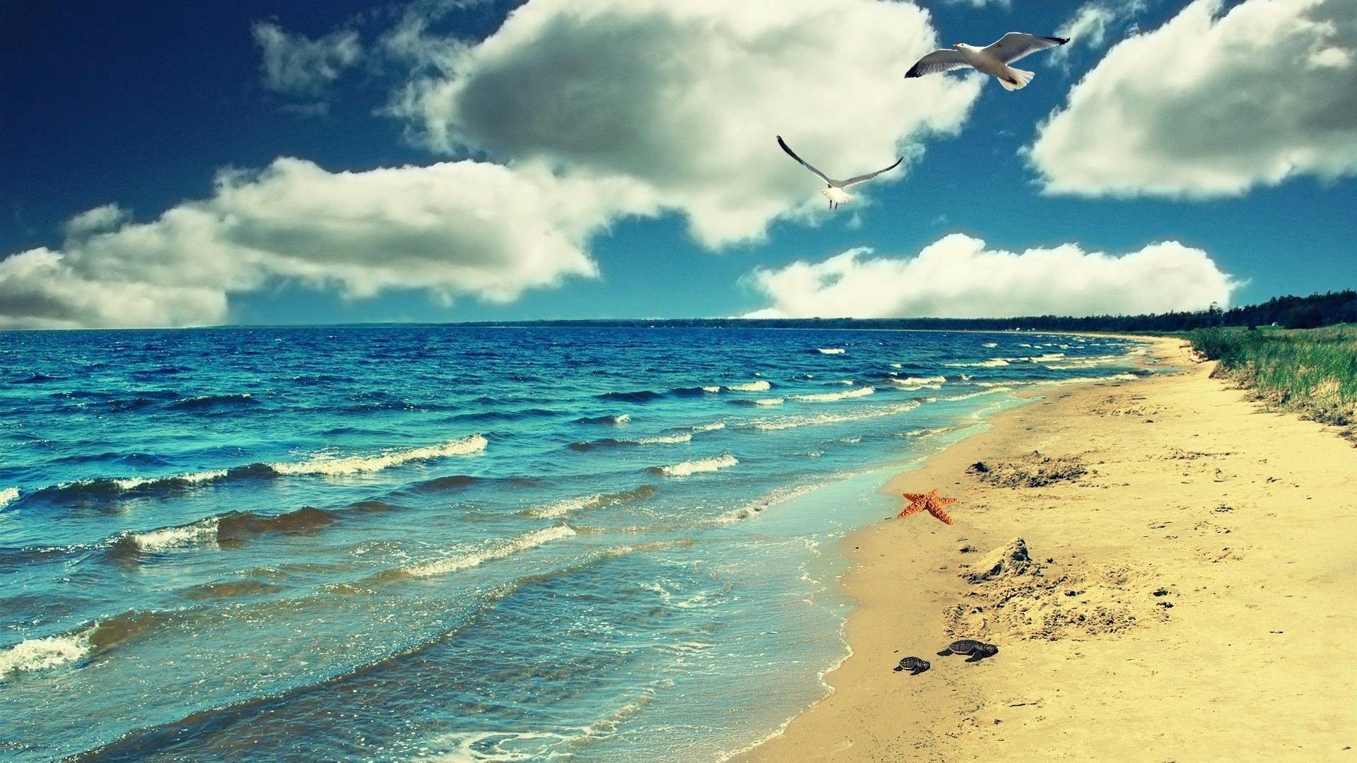 Serene beach landscape with blue ocean, white sand, and seagulls