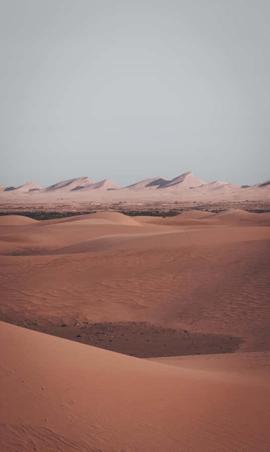 Desert Aesthetic Wallpaper