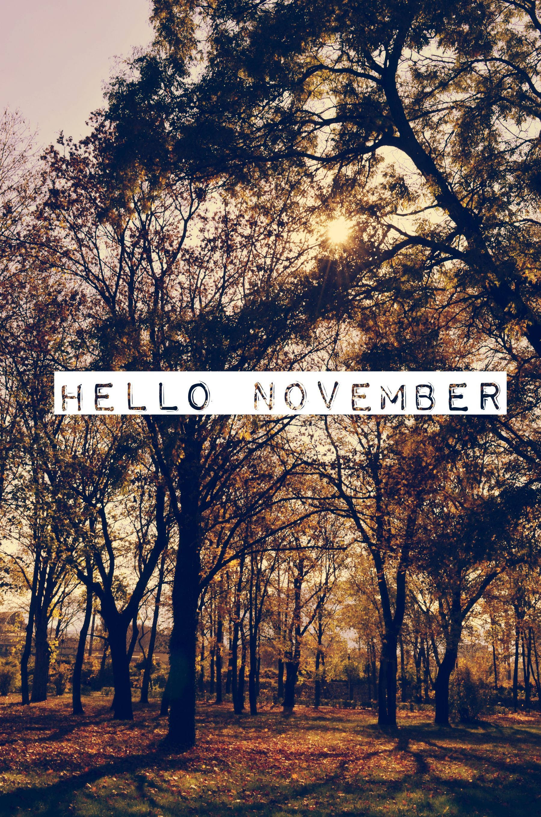 November iPhone Wallpaper