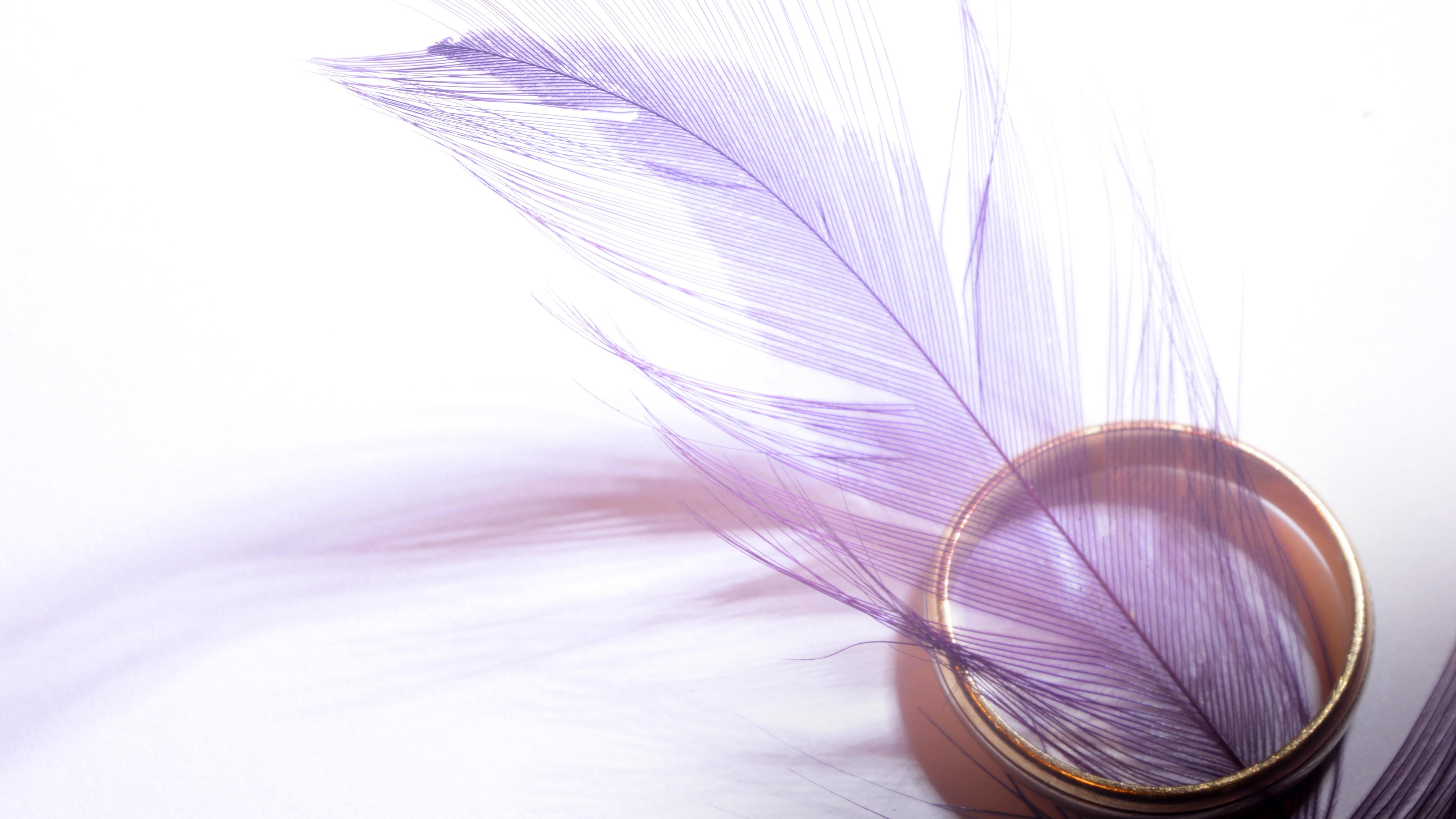 4k HD Wallpaper Purple Feather And Gold Ring