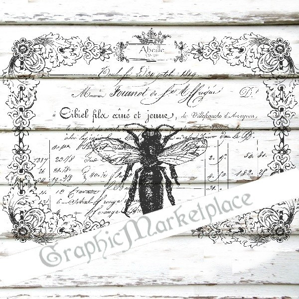 French Bee Abeille Frame Insects Instant By Graphicmarketplace