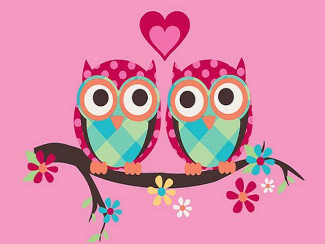 Cute Colorful Owl Wallpaper