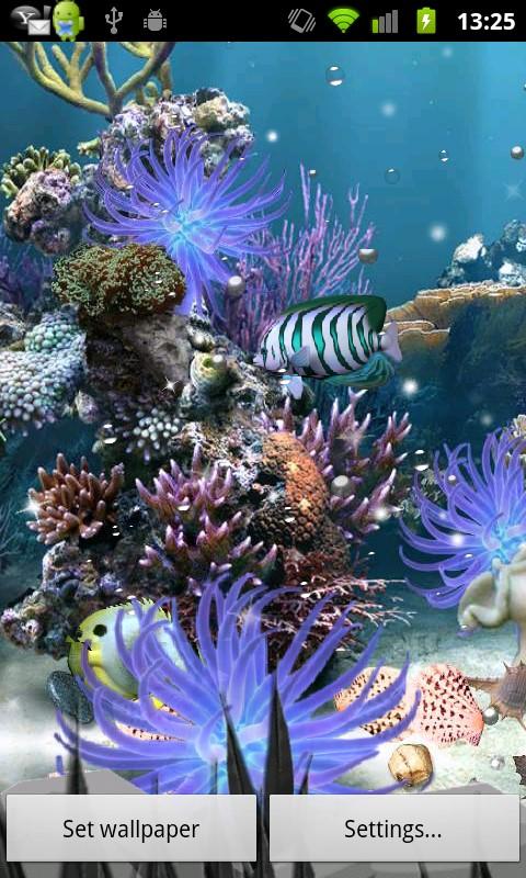 Coral Reef Lite Aqua Live Android Apps On Google Play