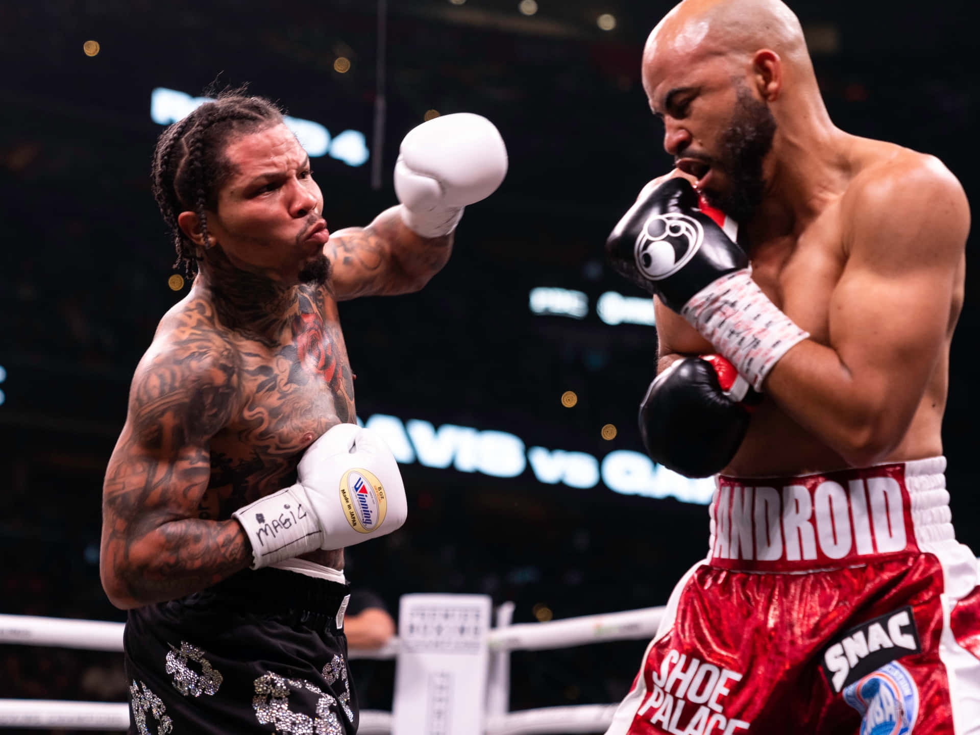 Gervonta Davis Wallpaper