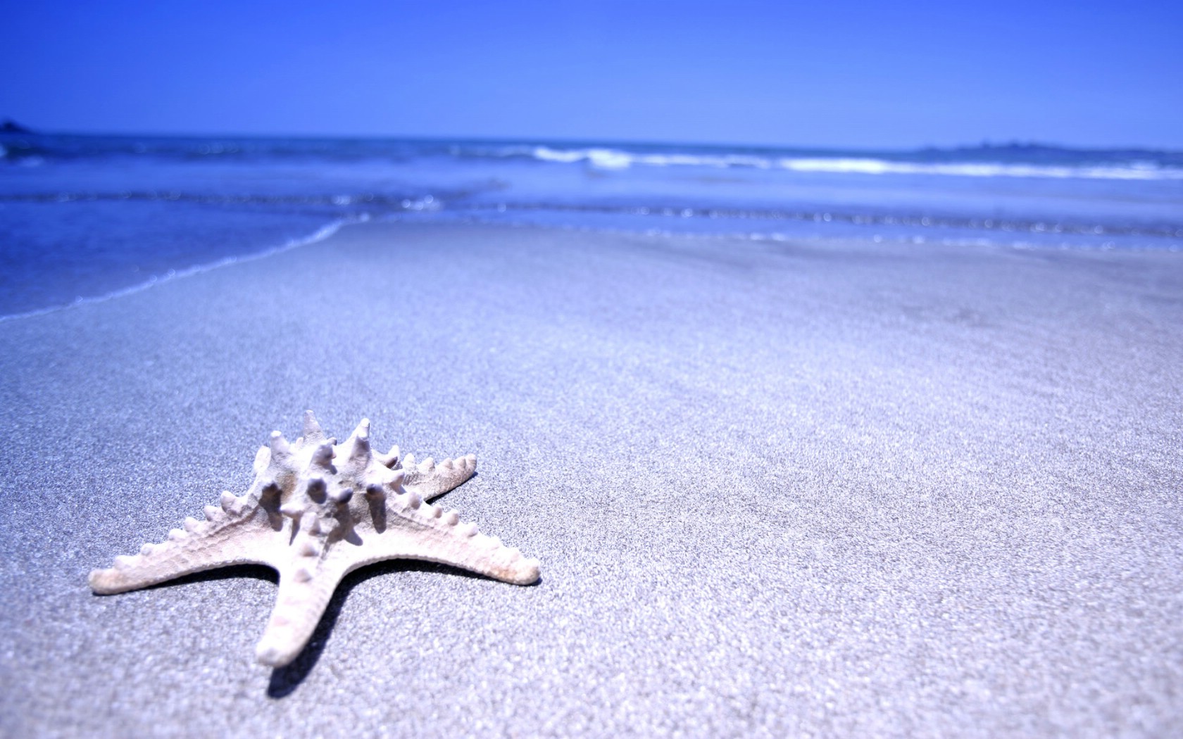 free-download-miami-beach-destination-luxury-topics-luxury-portal