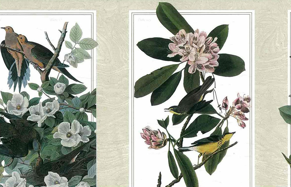 Free download Rolls Wallpaper Border Paper Screen Print Bird House