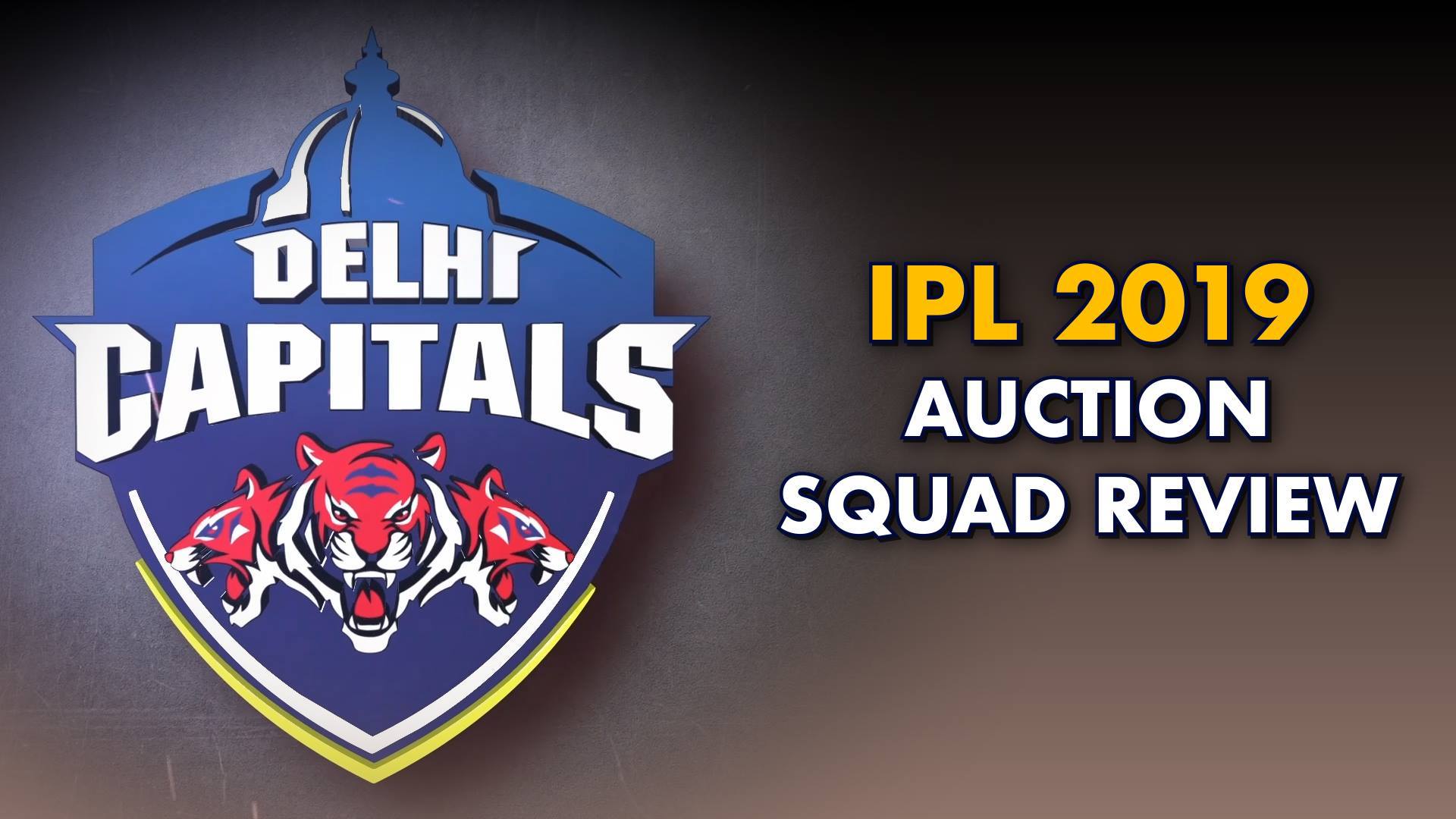 cricbuzz   IPL 2019 Auction Squad Review Delhi Capitals