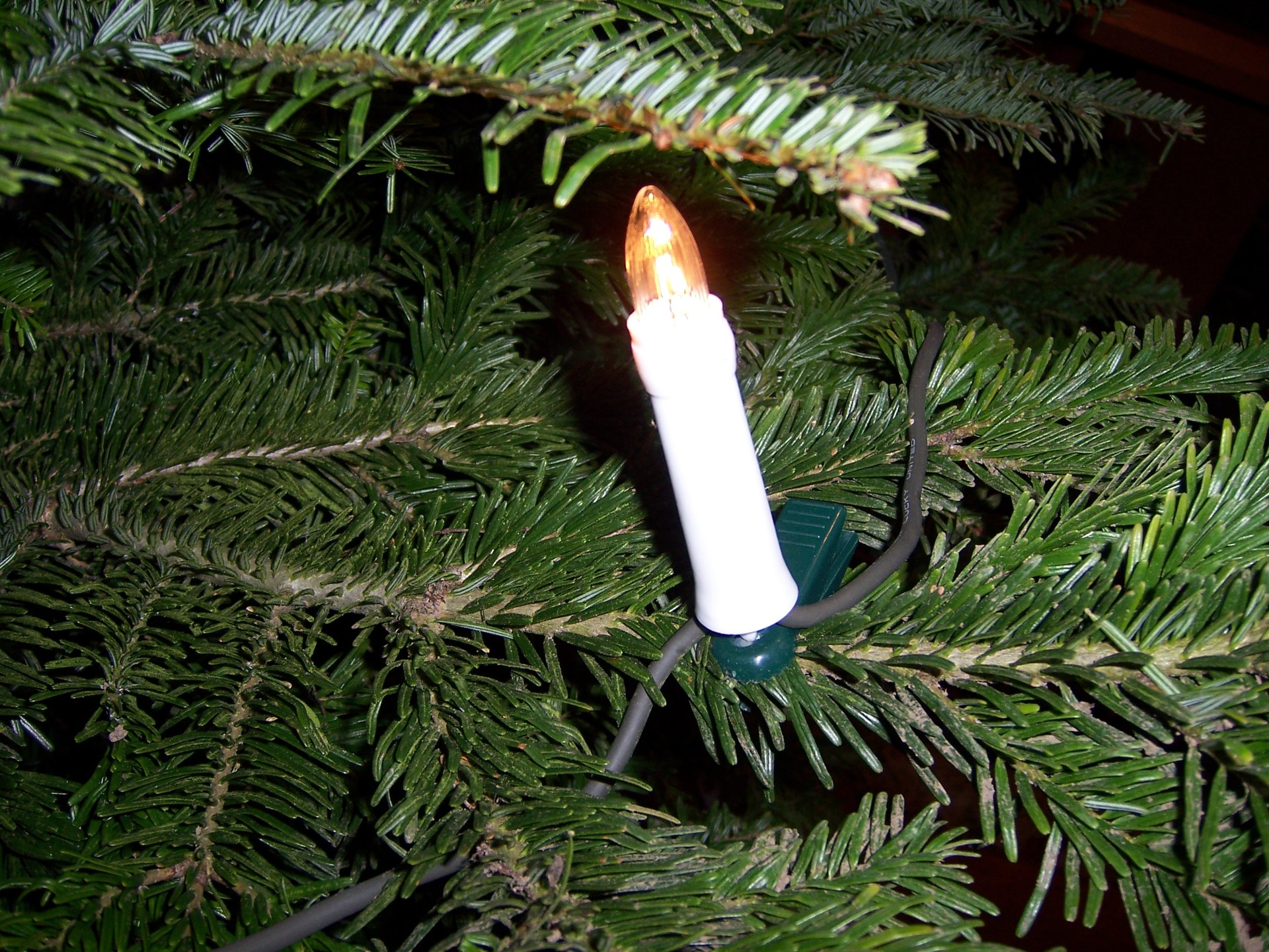 Xmas Tree Candle Lights   Christmas Wallpaper 518963