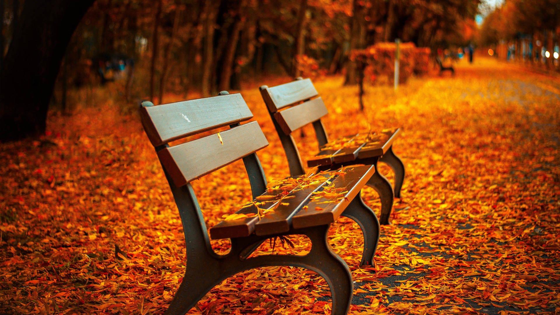 Autumn Scenery In Stunning 4k UHD Resolution Wallpaper