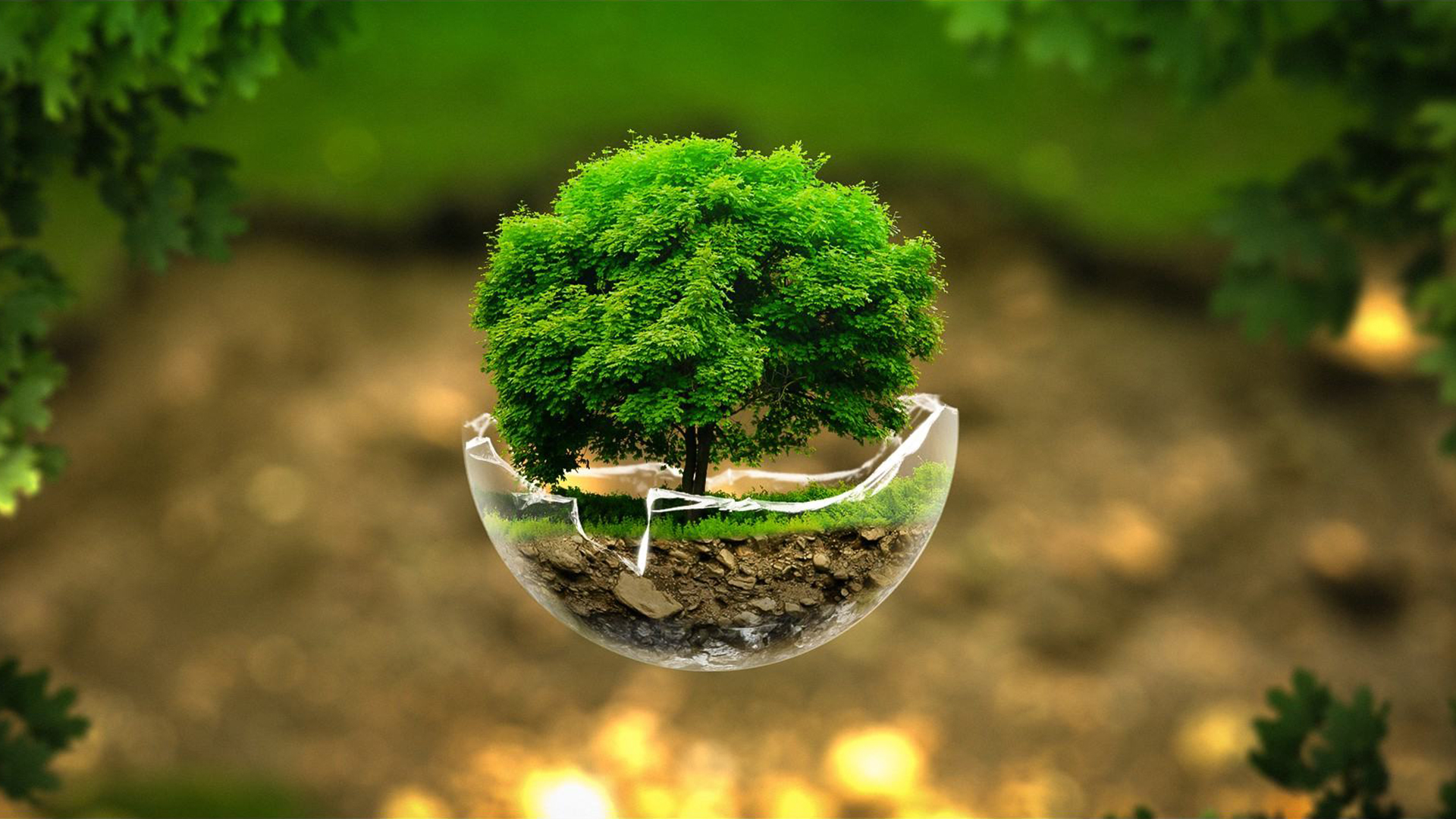A vibrant green tree growing inside a cracked glass orb, symbolizing environmental fragility and resilience