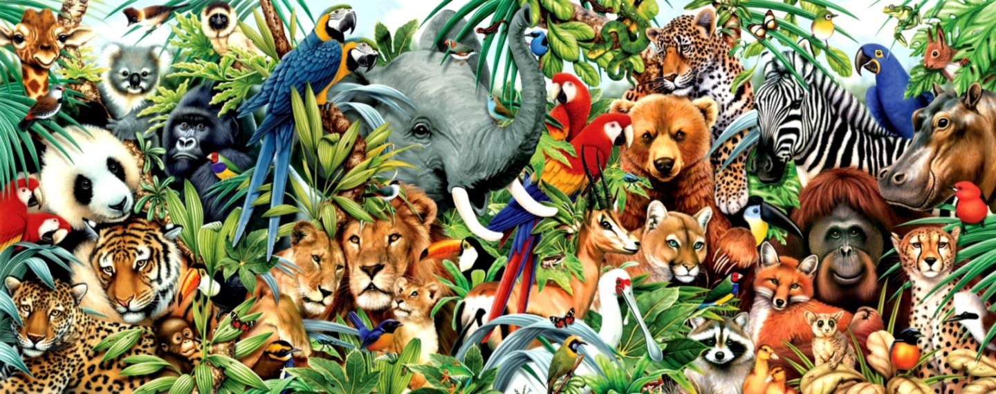 Jungle Animal Wallpaper