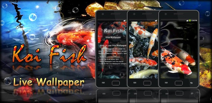 Droidpk Koi Fish Live Wallpaper Apk For Android