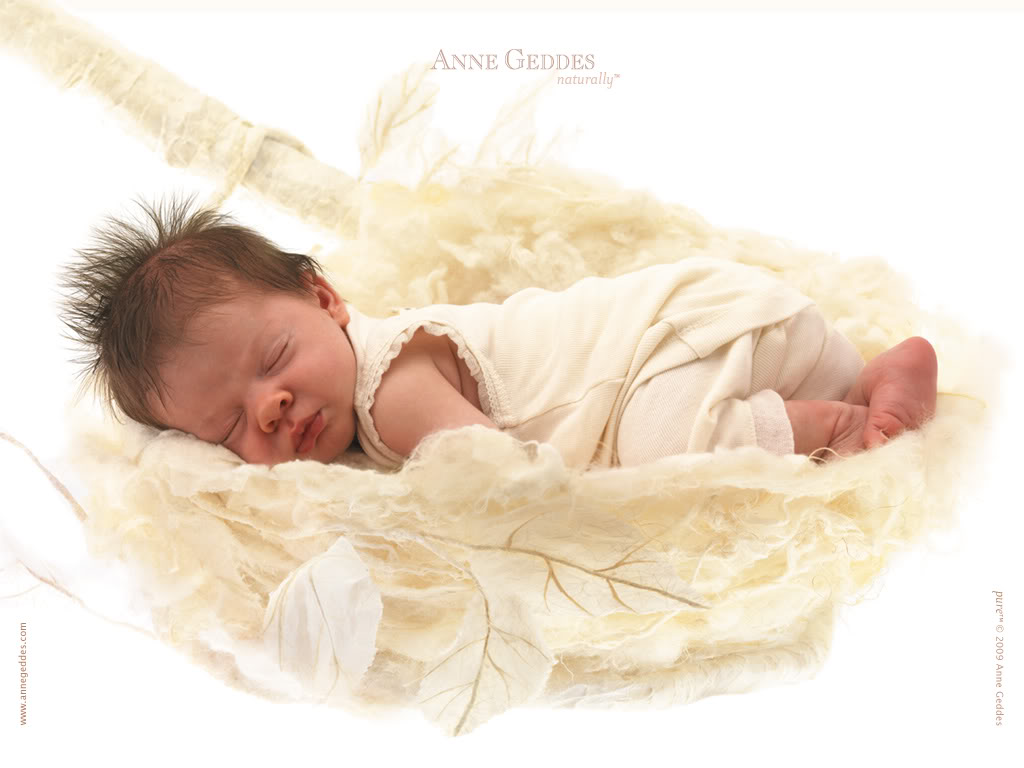 Anne Geddes Baby Photo Baby01 Jpg