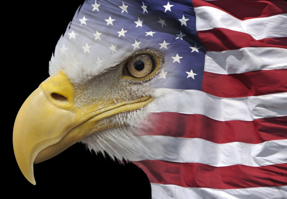 American Flag Eagle Wallpapers Free Hd Pictures