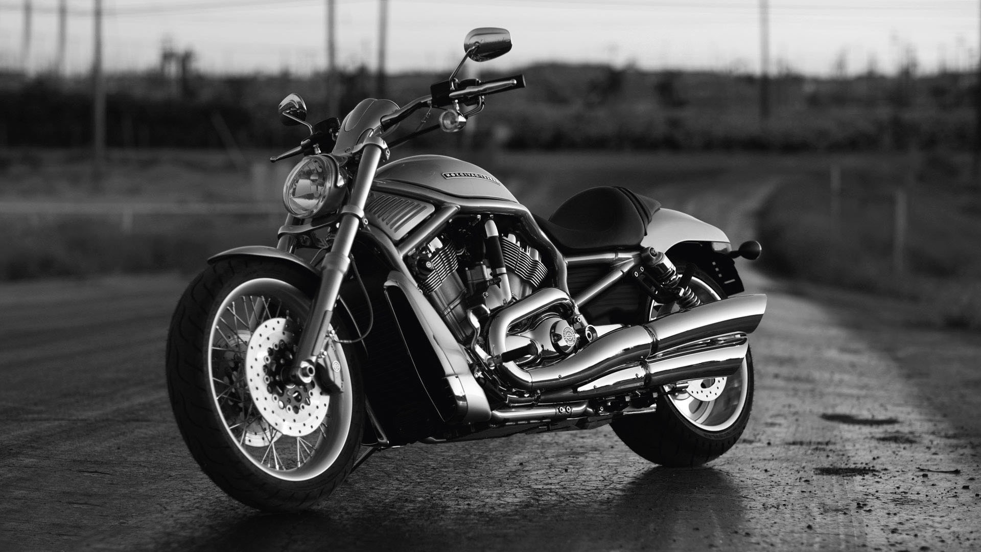 A classic Harley-Davidson V-Rod motorcycle in monochrome, parked on a paved road