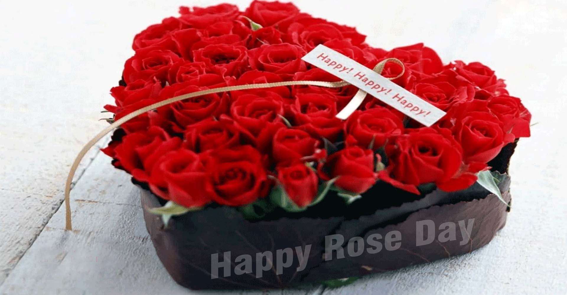 Stunning Happy Rose Day Wallpaper HD