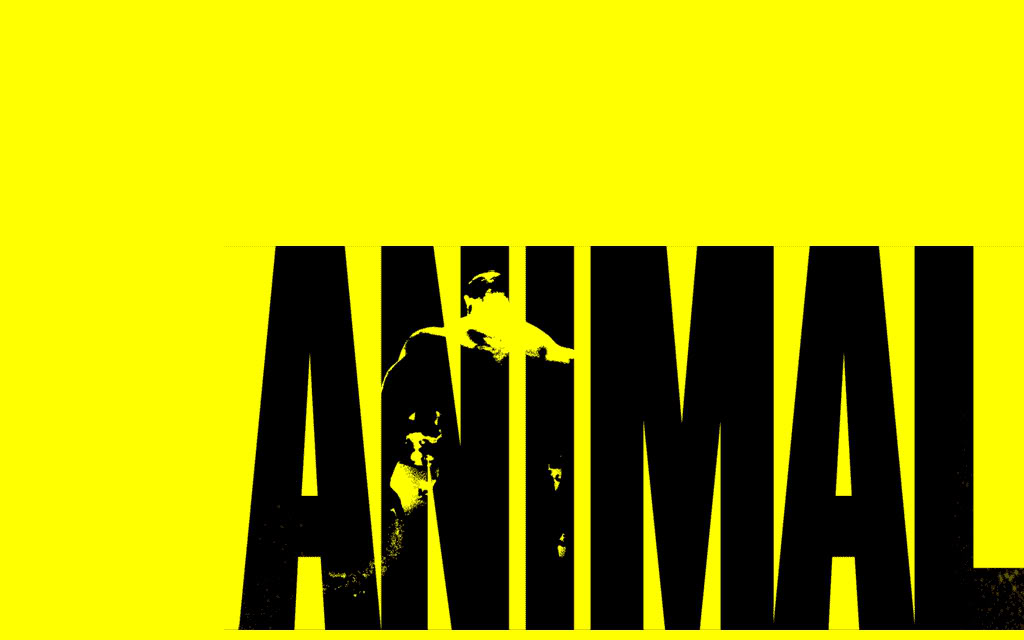 Animal Bodybuilder Logo Animal Pak Wallpapers