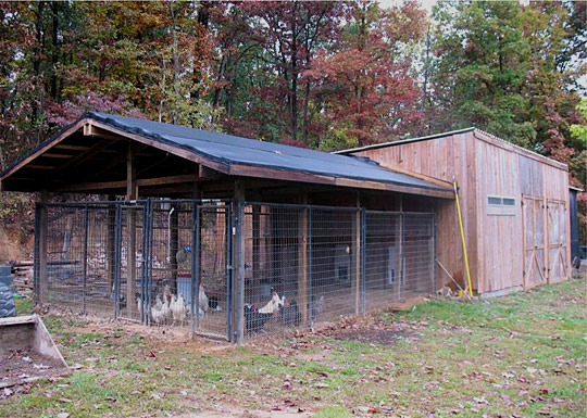Backyard Chicken Pictures The Coop At Kasmira Farms