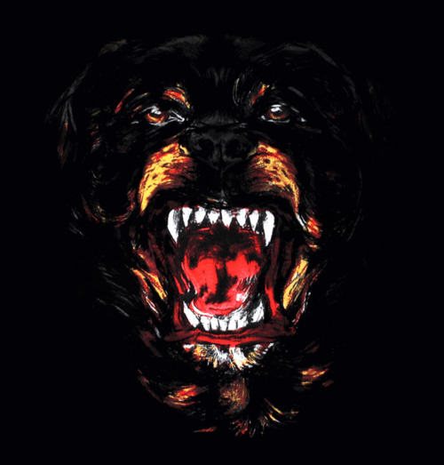 Picture of Givenchy Rottweiler Kanye West Forum