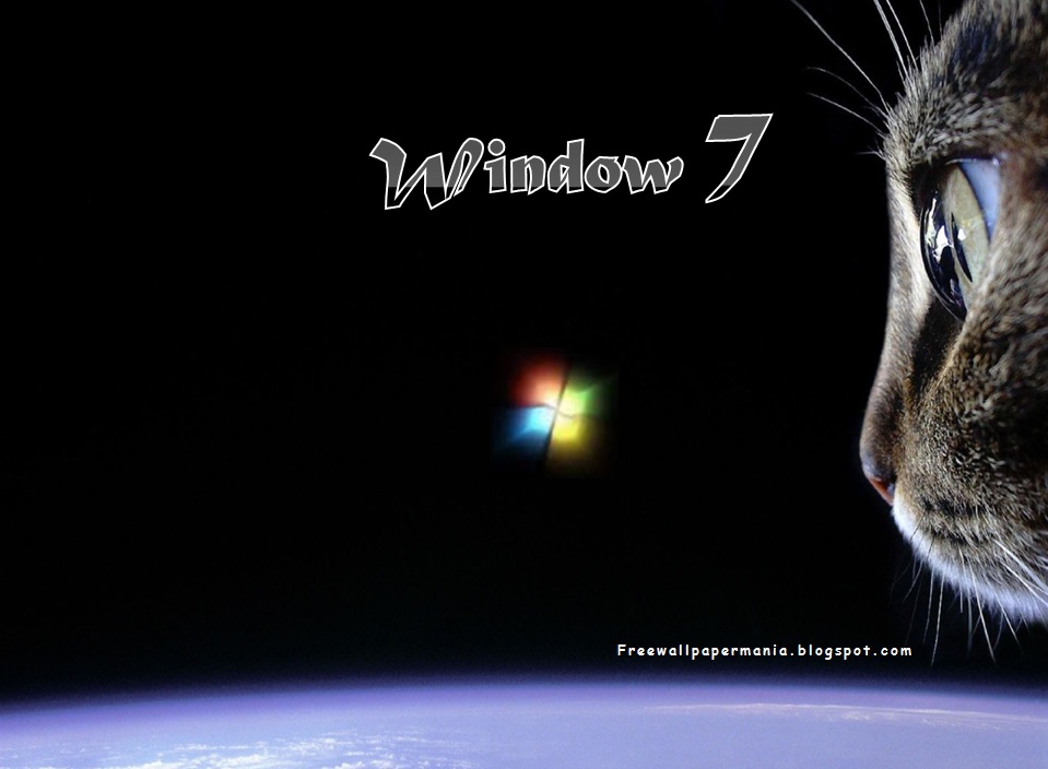 Windowblinds Themes Sexy Cats Theme Windows