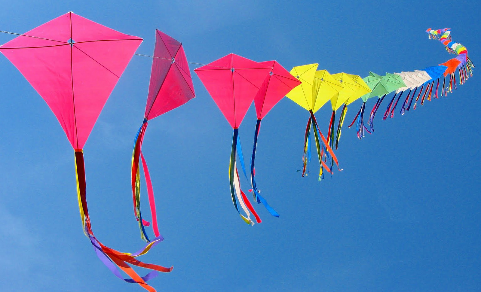 Makar Sankrati Indian Kite Fastival Many Kites Wallpaper Clip