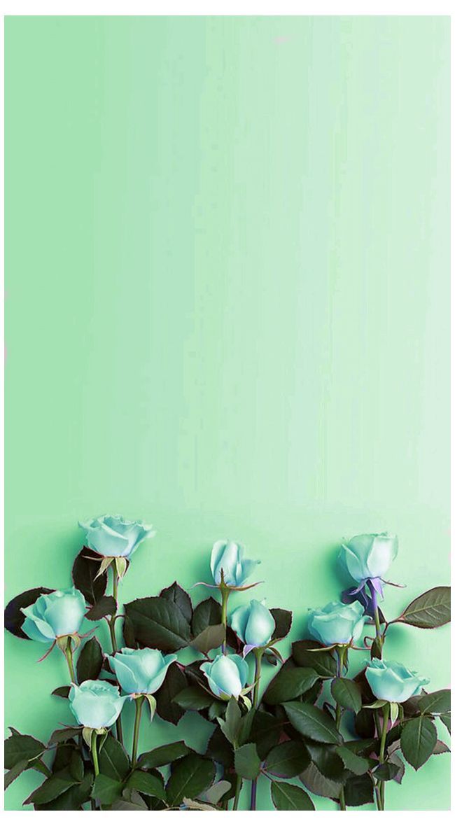 Mint Green Wallpaper For iPhone