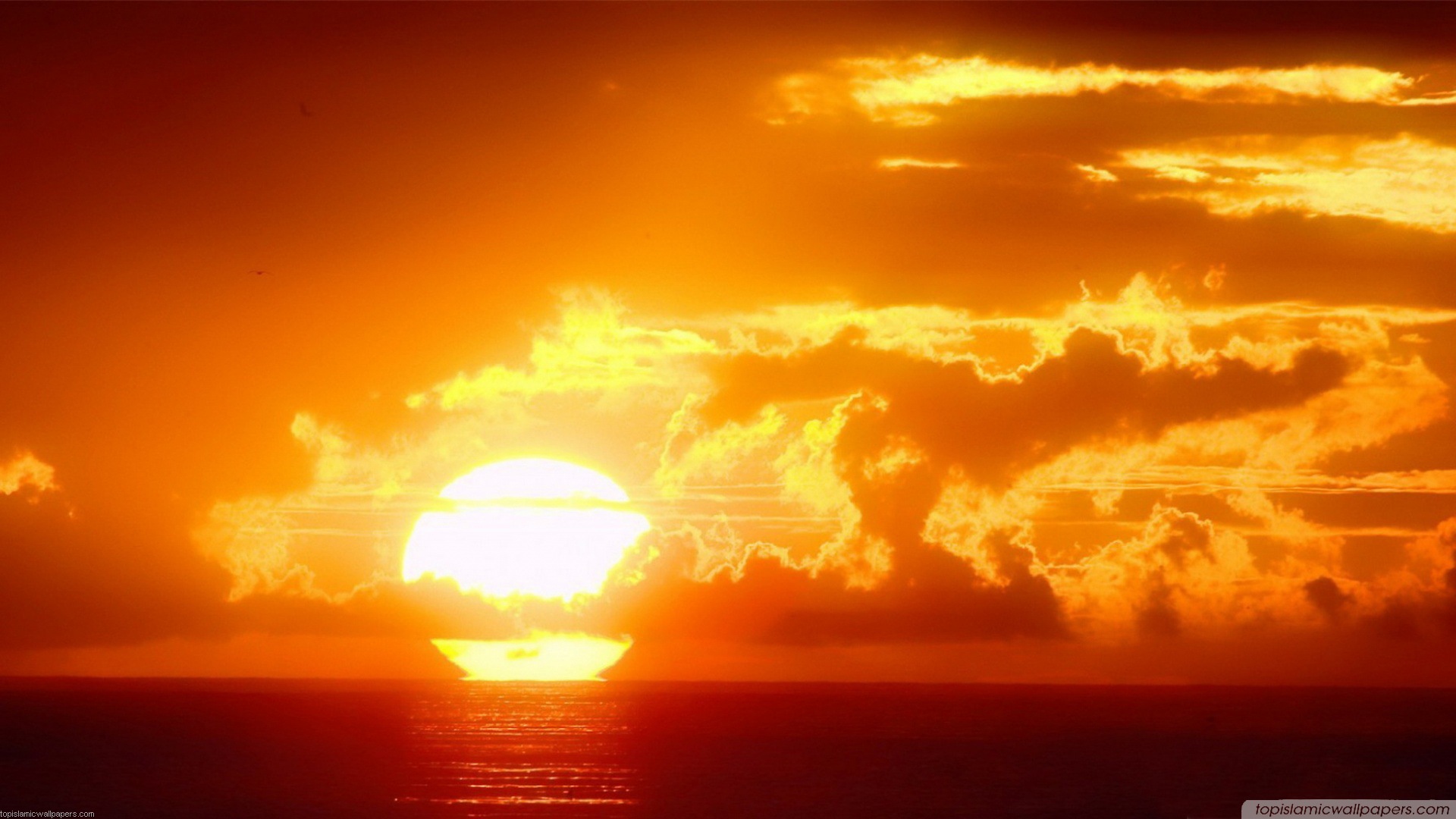 Marvelous Beach Sunset HD Widescreen Wallpaper
