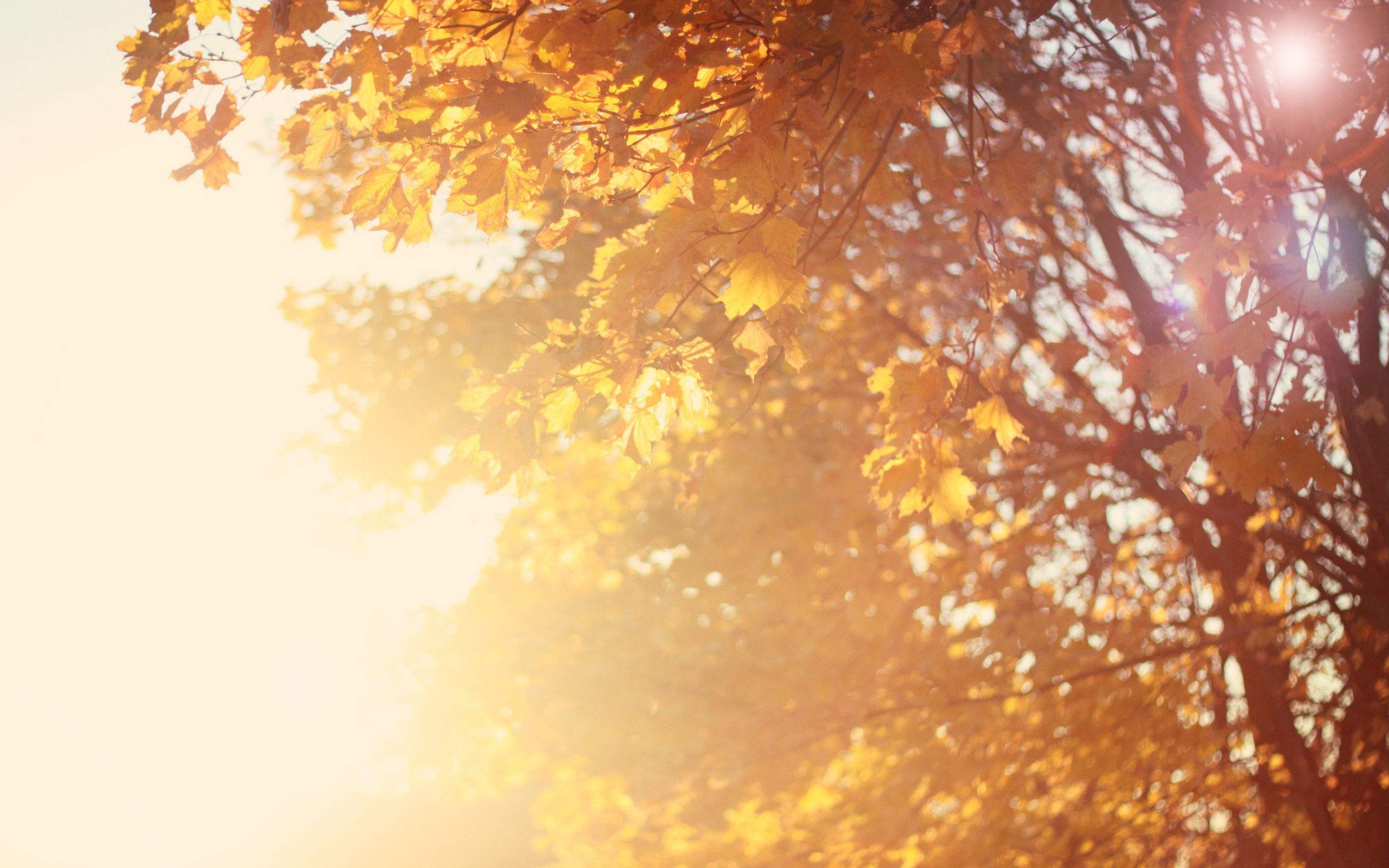 Early Fall Desktop Wallpaper