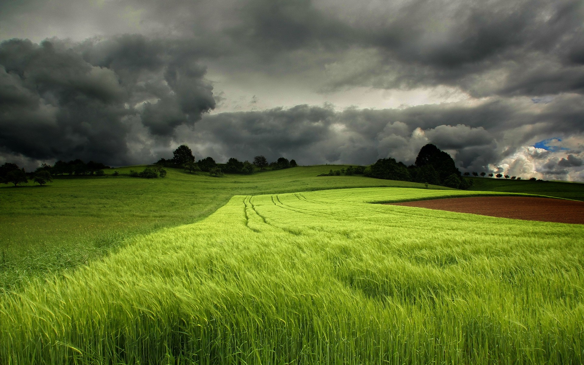 Grass Green Field Amp Dark Ultra HD Wallpaper 8k Resolution