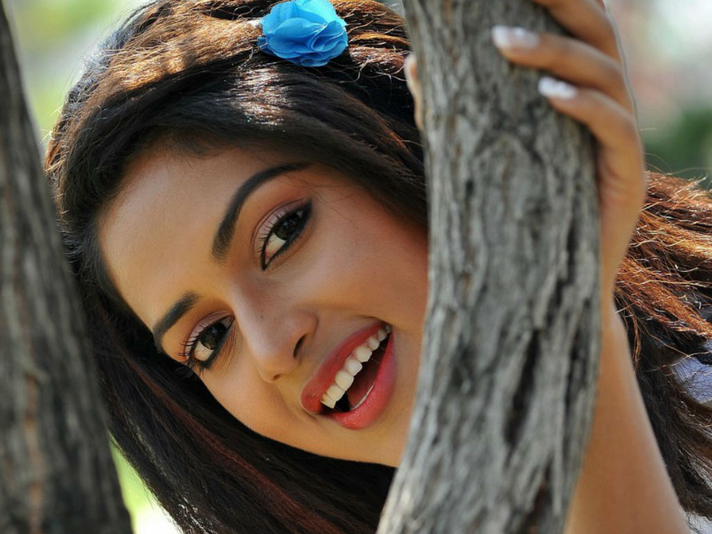 Amala Paul HD Indian Celebrities 4k Wallpapers Images Backgrounds  Photos and Pictures