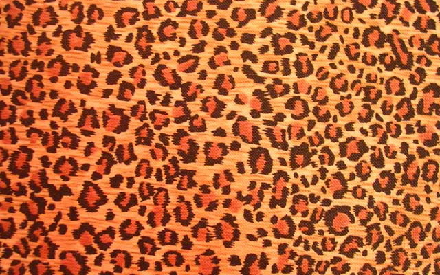 Cheetah Print Wallpaper Desktop Background