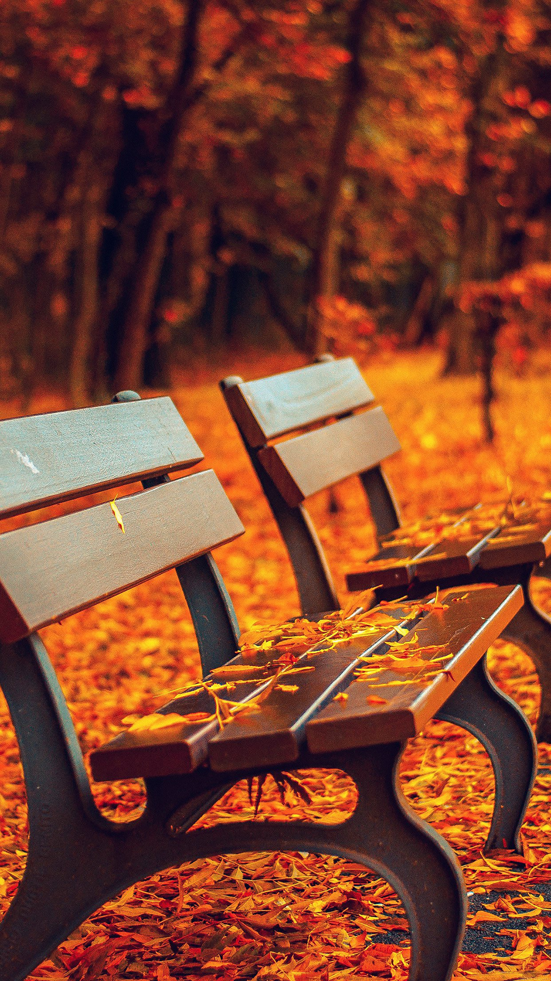 Nature Autumn Fall Leaves On Roadside Bench iPhone Wallpaper