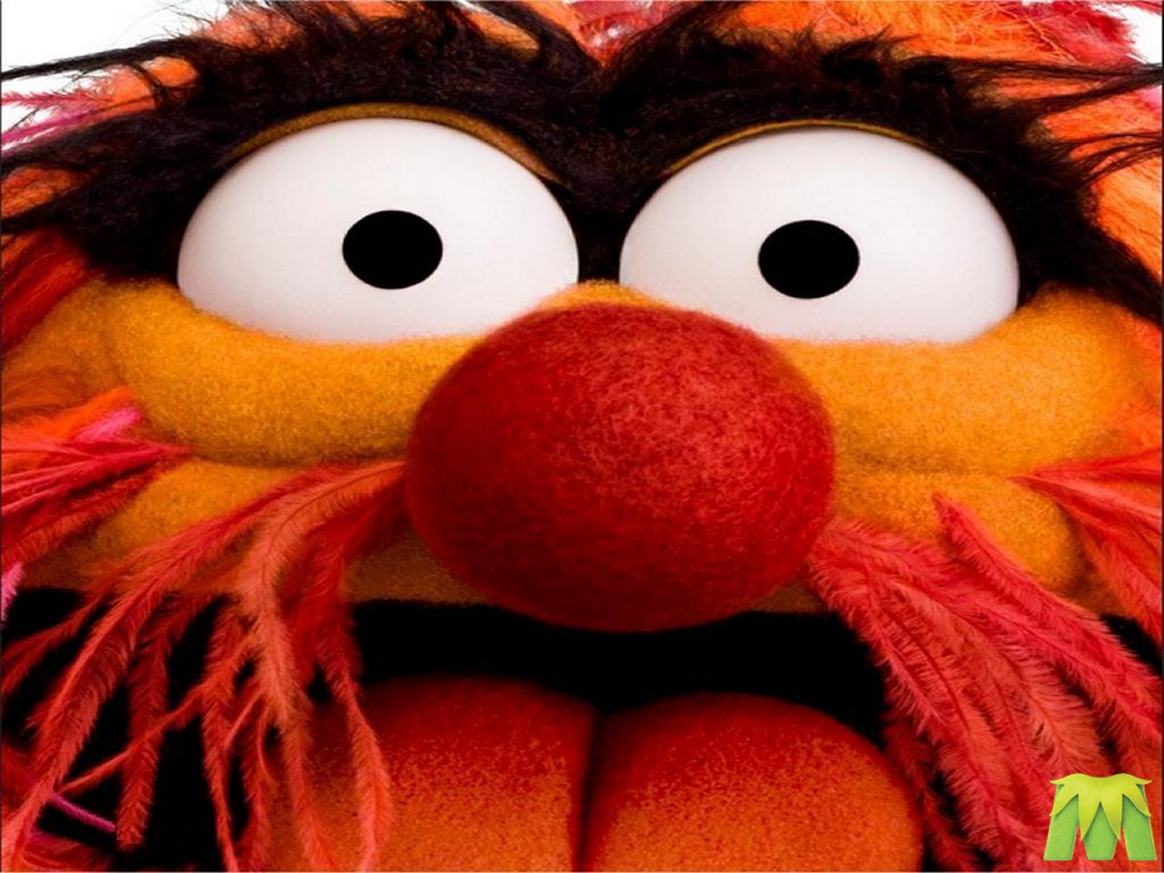 The Muppets Cranky Critic Movie Wallpaper S