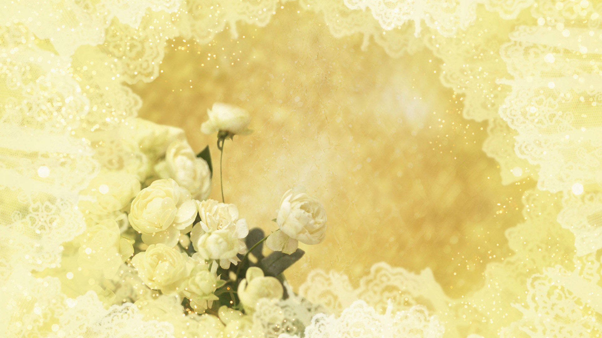 Yellow Roses Background Ba Pictures To