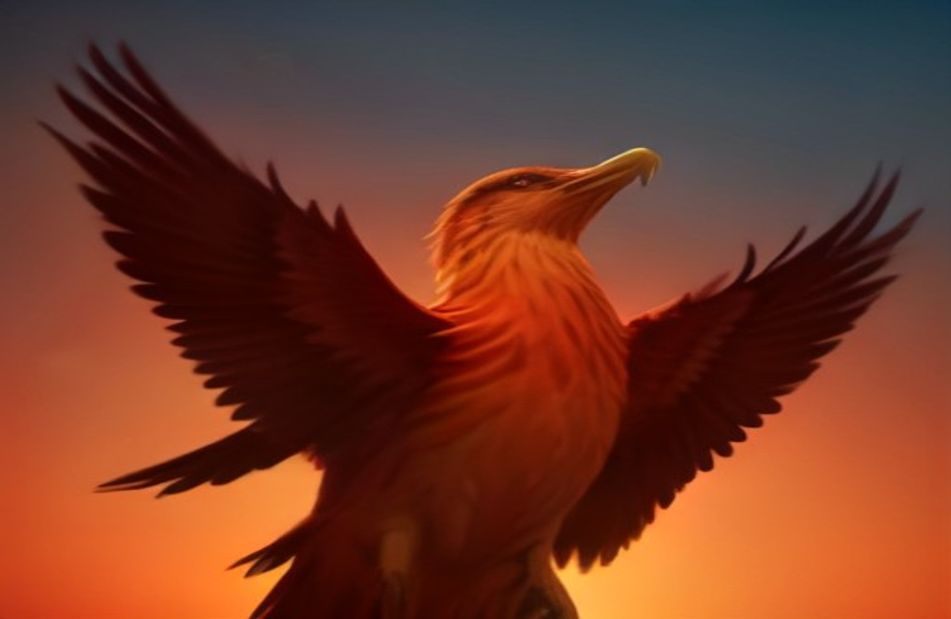 Phoenix Bird Hd Wallpaper