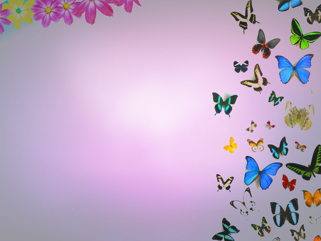 Butterfly and Flower PowerPoint Backgrounds