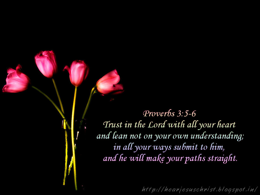 Free download Proverbs 3 5 6 Wallpaper proverbs 35 6 for Desktop, Mobile &a...