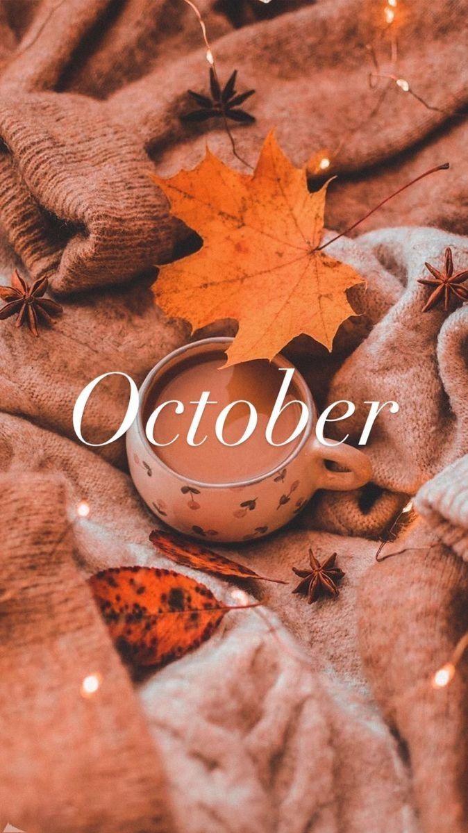 150 Best Hello October ideas in 2023 hello october october