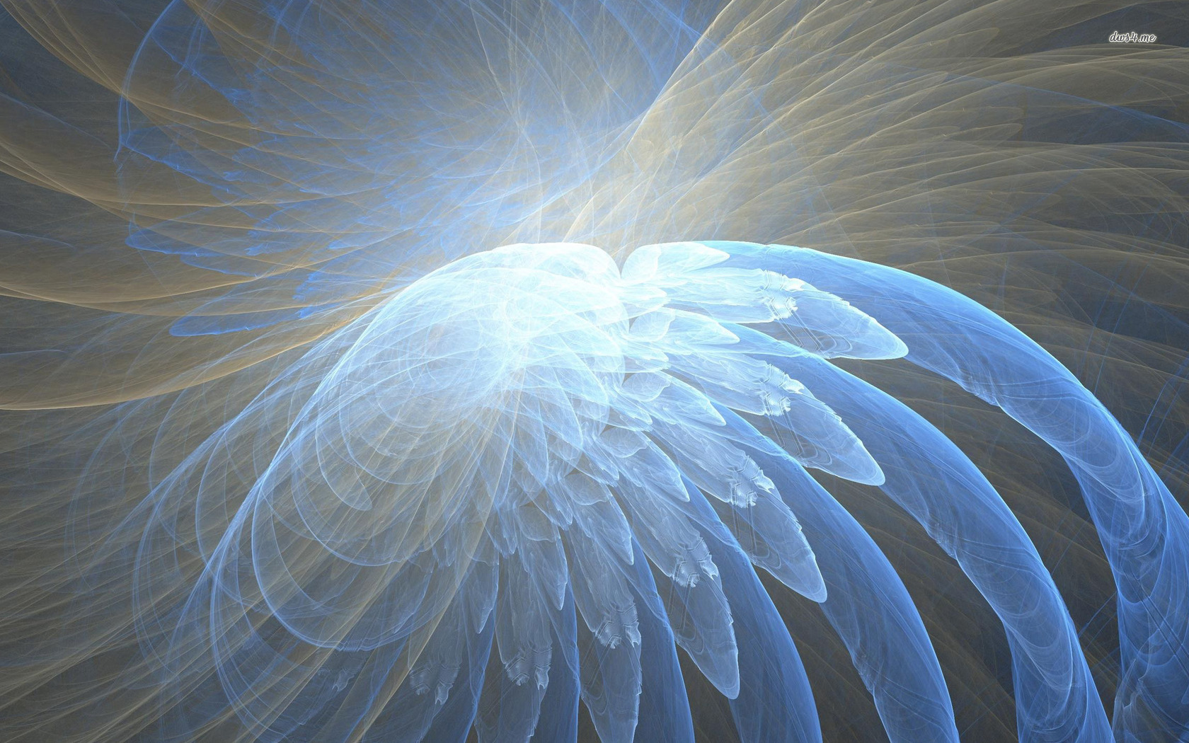 Angel Wings Wallpaper Abstract