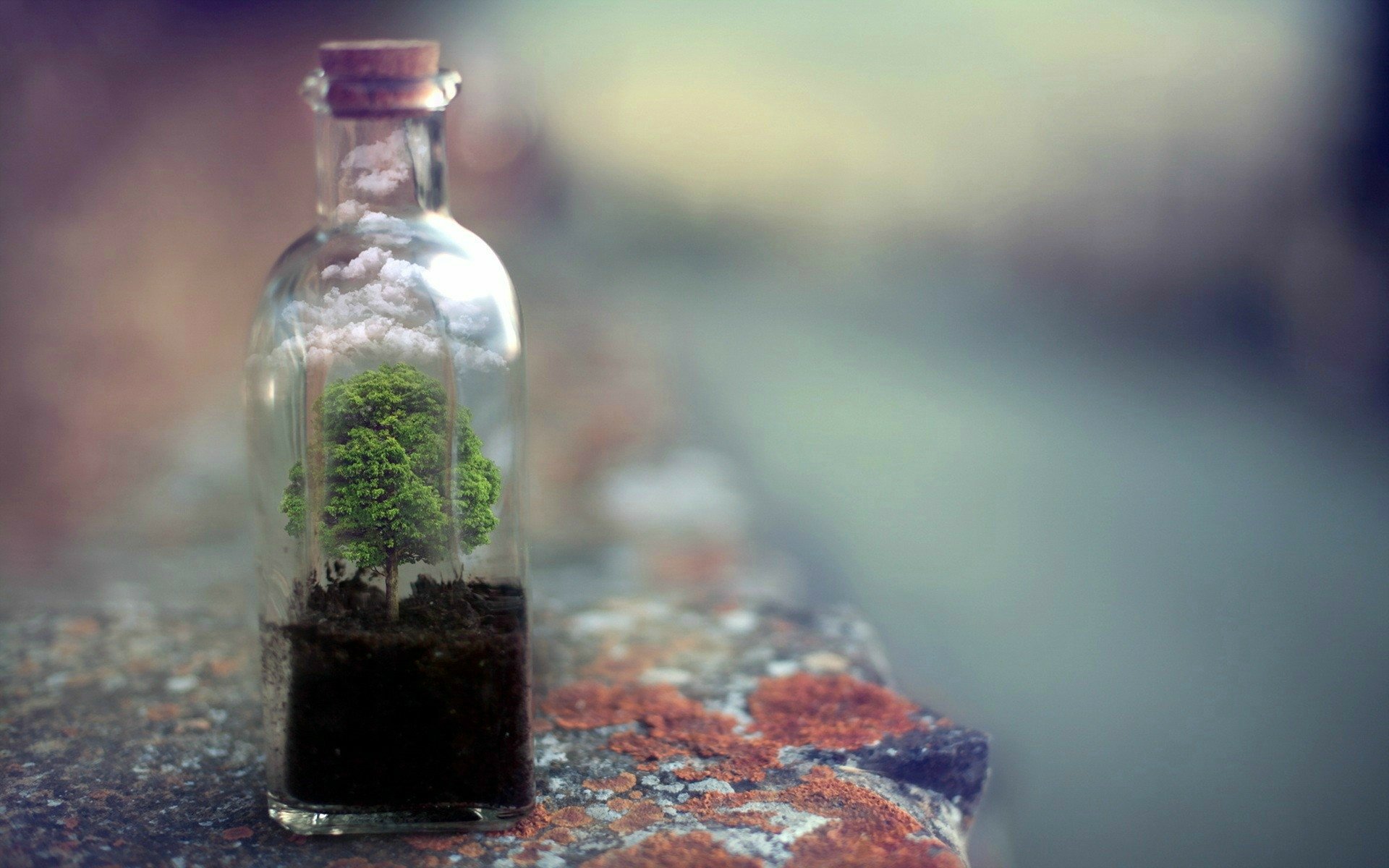 Photography Still Life HD Wallpaper