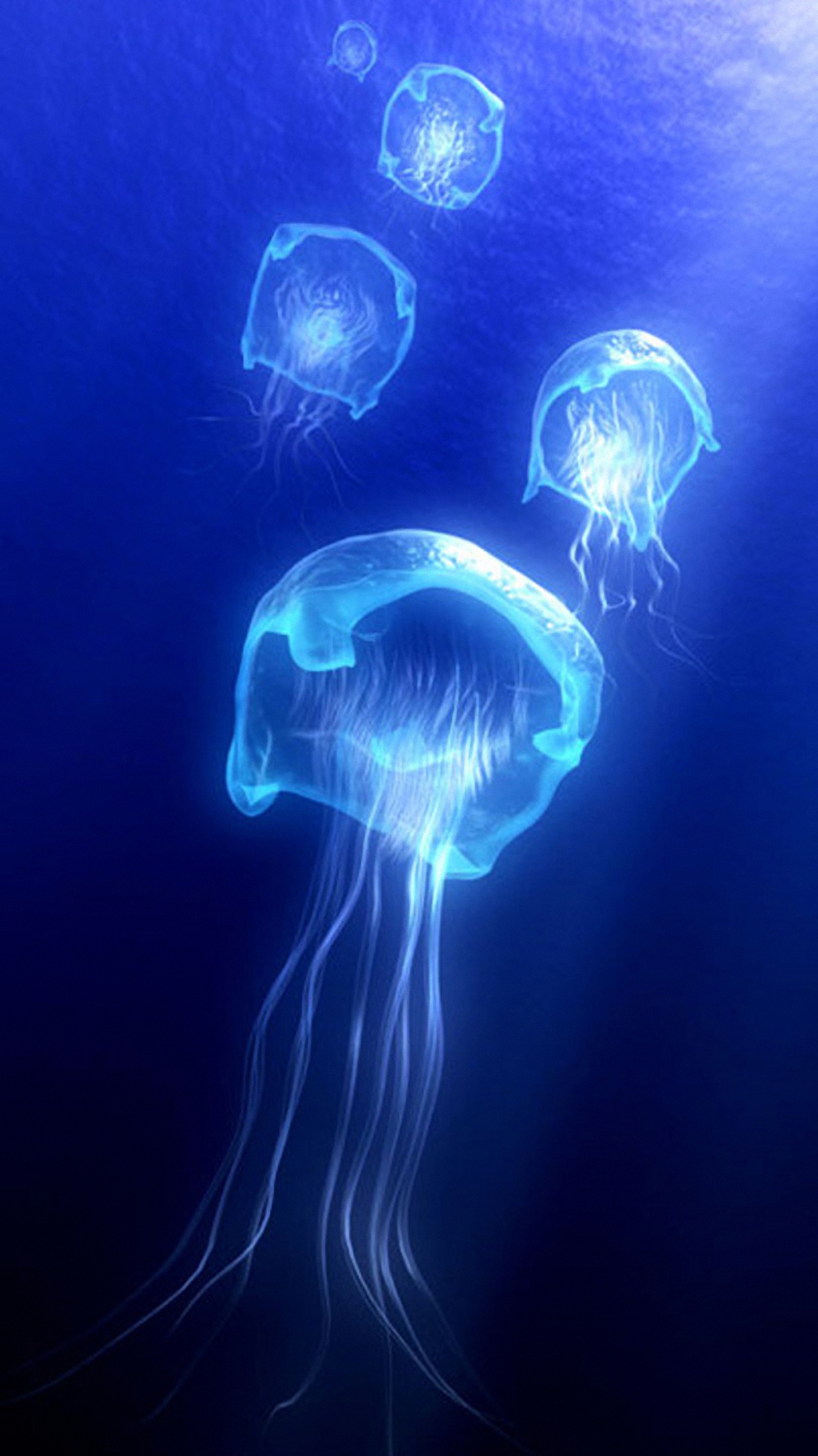 Jellyfish Lg G3 Wallpaper HD