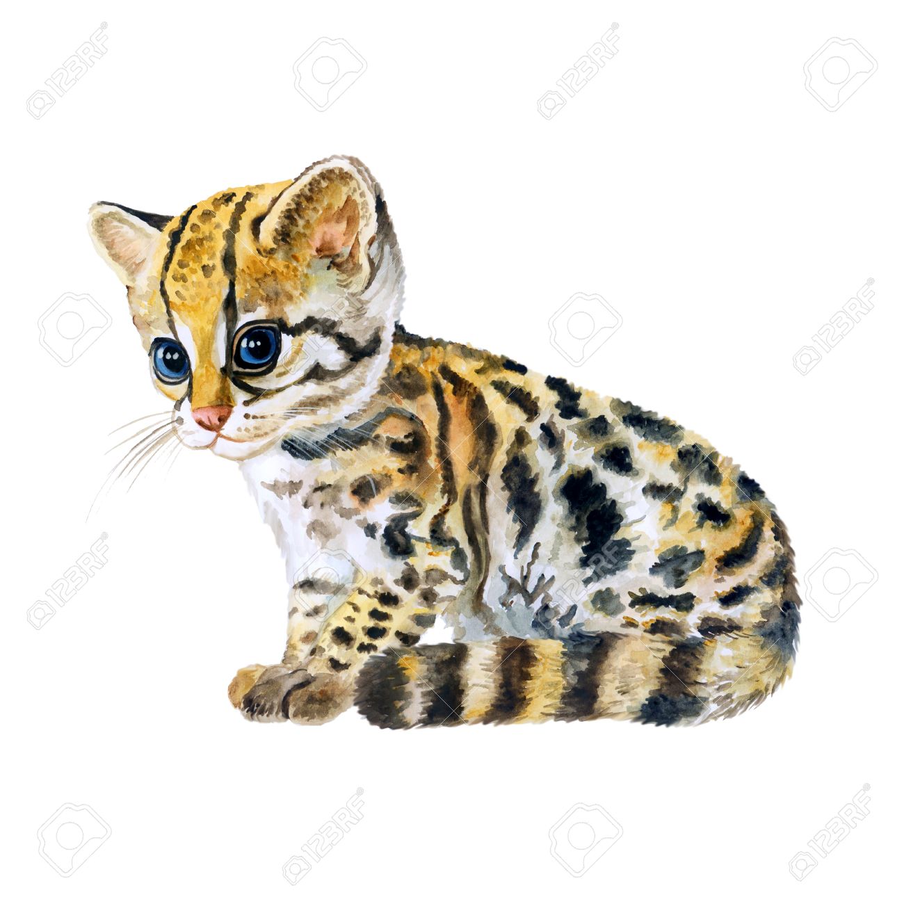 Watercolor Portrait Of Ocelot Kitten With Dots Stripes Isolated 1300x1300