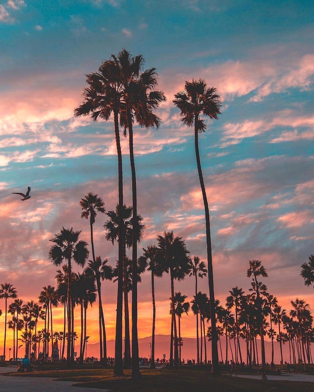 Los Angeles Sunset At Travel Nature Vacation