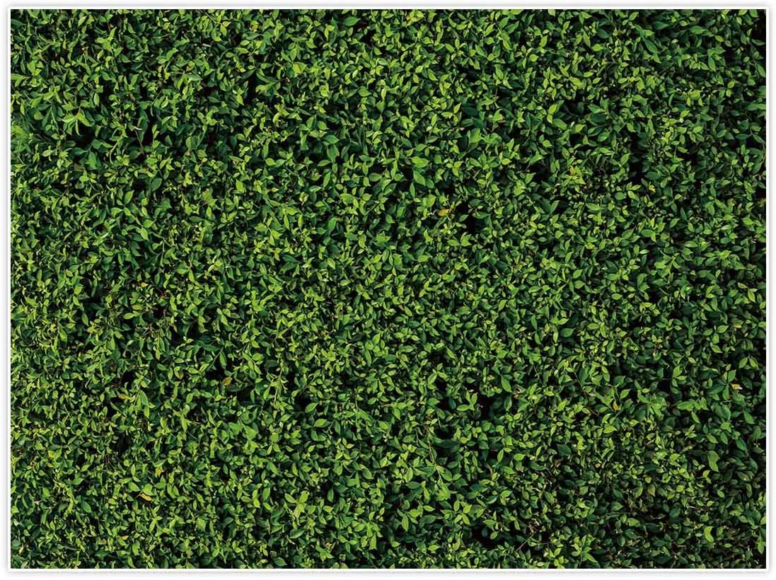 Amazon Allenjoy Nature Green Lawn Leaves Backdrop For