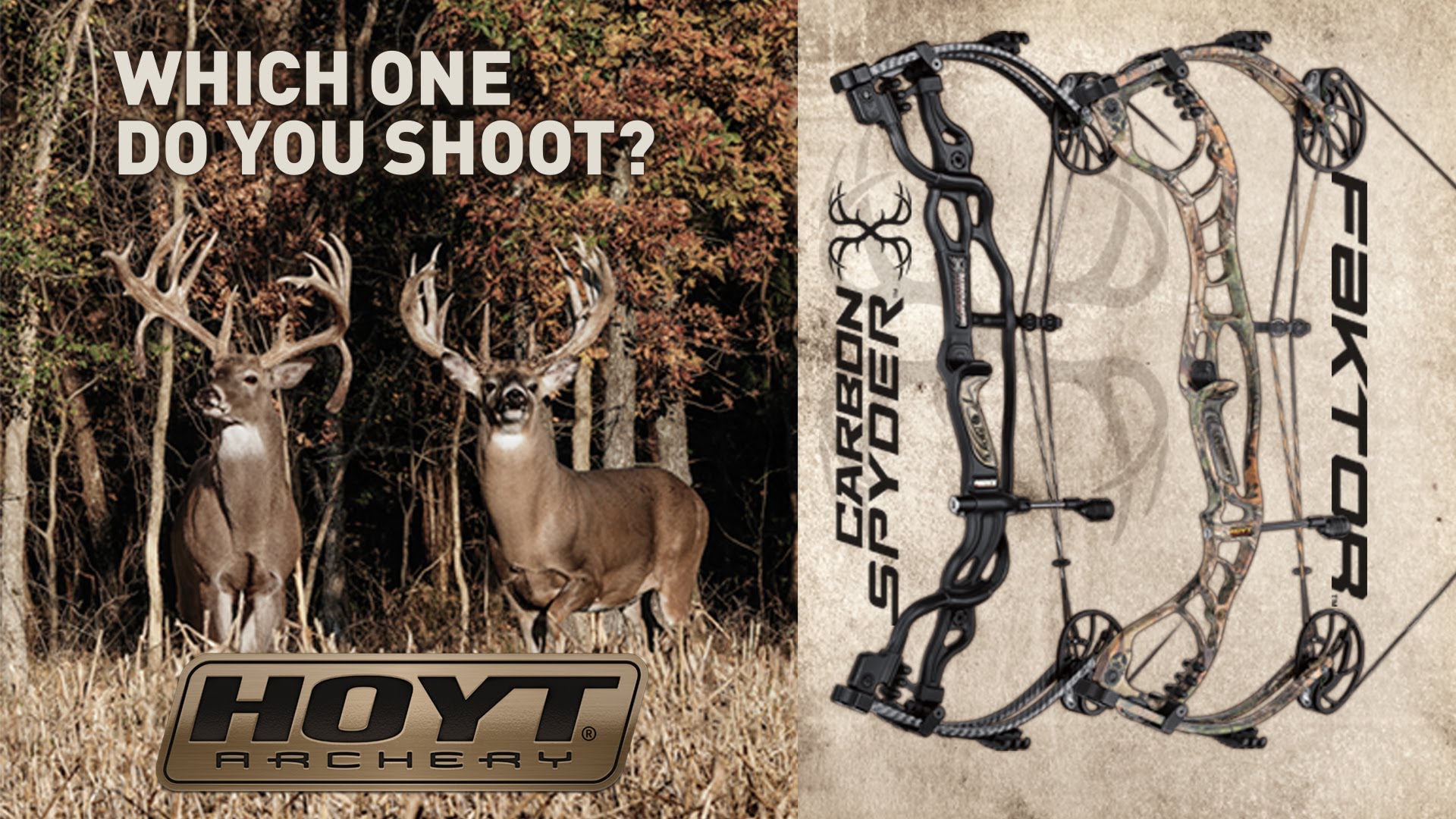 Hoyt Archery Which One Do You Shoot