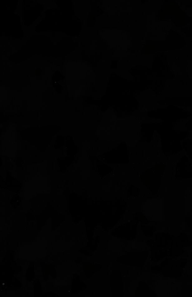Beautiful Black Background Wallpaper