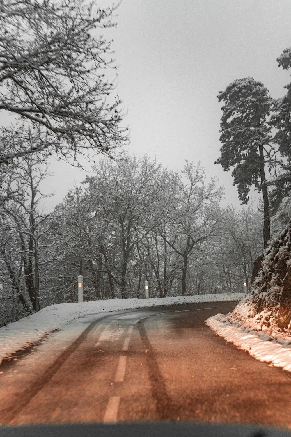 A Snowy Road With Trees On Both Sides Photo Nature Image