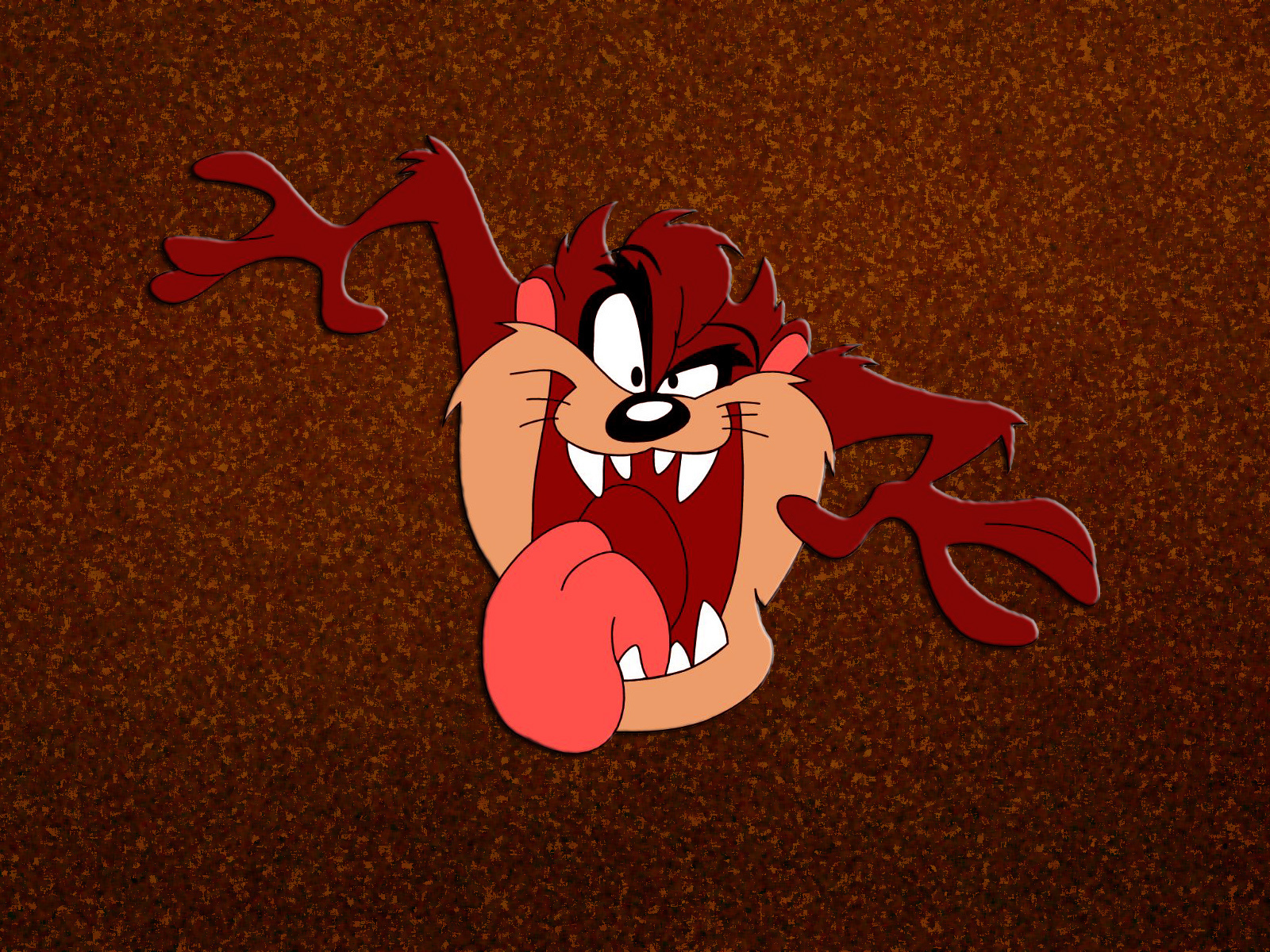 Tasmanian Devil Wallpaper And Image Pictures Photos