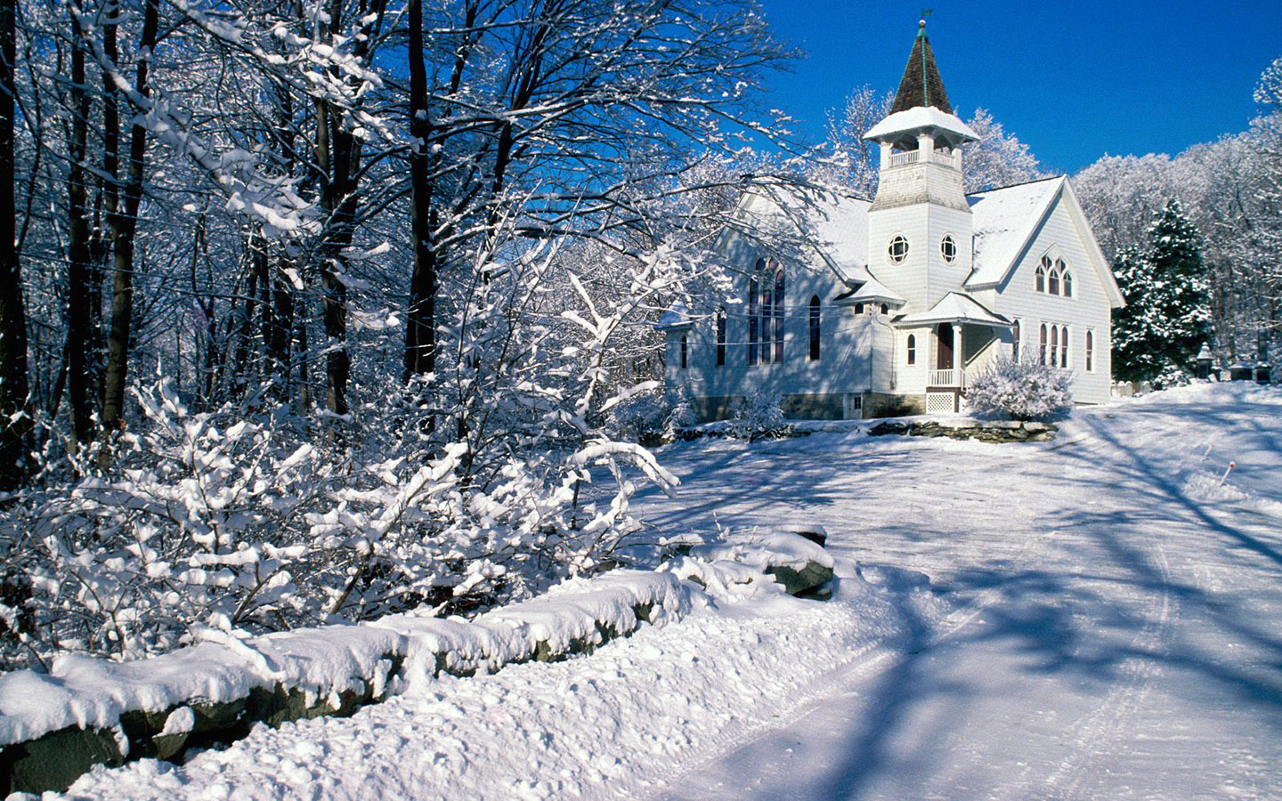 Winter Wonderland Dreamy Snow Scene Wallpaper
